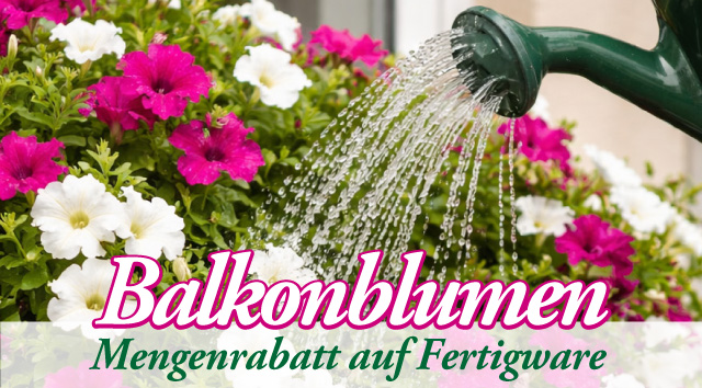 Balkonblumen